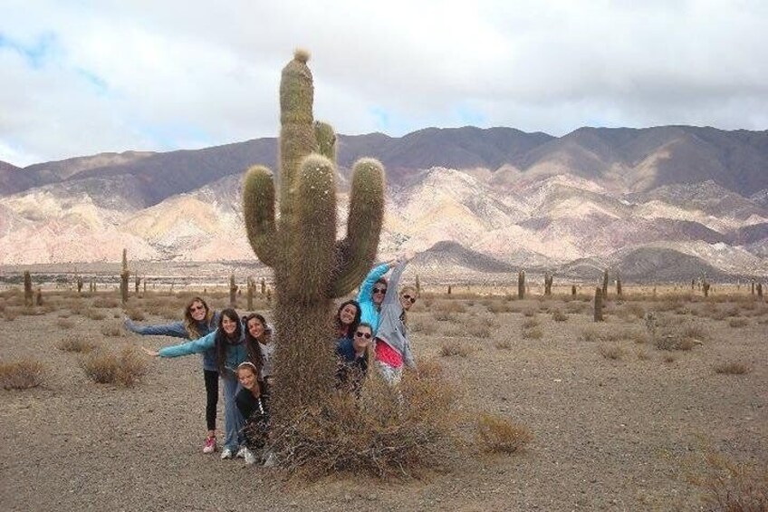 way to los cardones national park