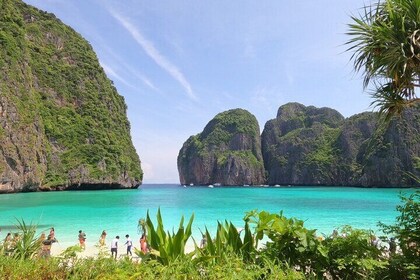 ISLA PHI PHI - Viaje al amanecer desde Phi Phi Don por Phi Phi Local Tour