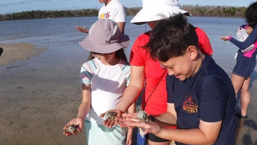 2-hour Shelling Boat Tour in the 10,000 Islands