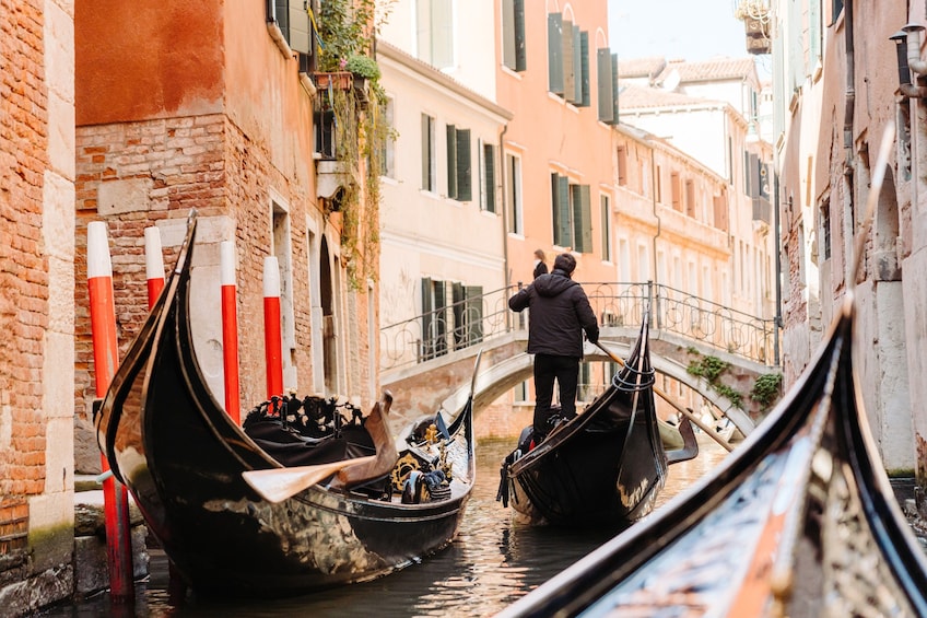 Venice in a Day with St. Mark's Basilica, Doge's Palace, & Gondola Ride