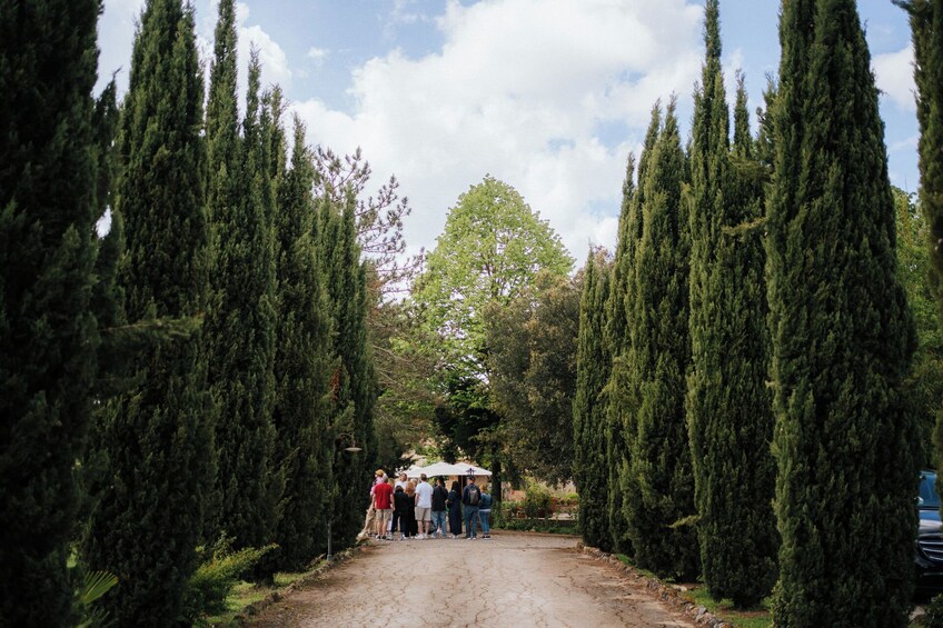 Tuscany Day Trip From Florence With Chianti, Siena and San Gimignano