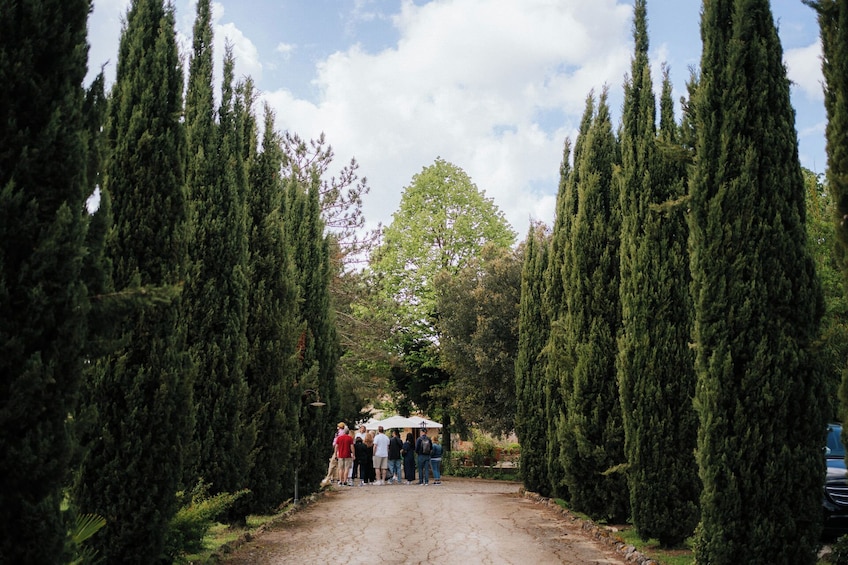 Tuscany Day Trip From Florence With Chianti, Siena and San Gimignano