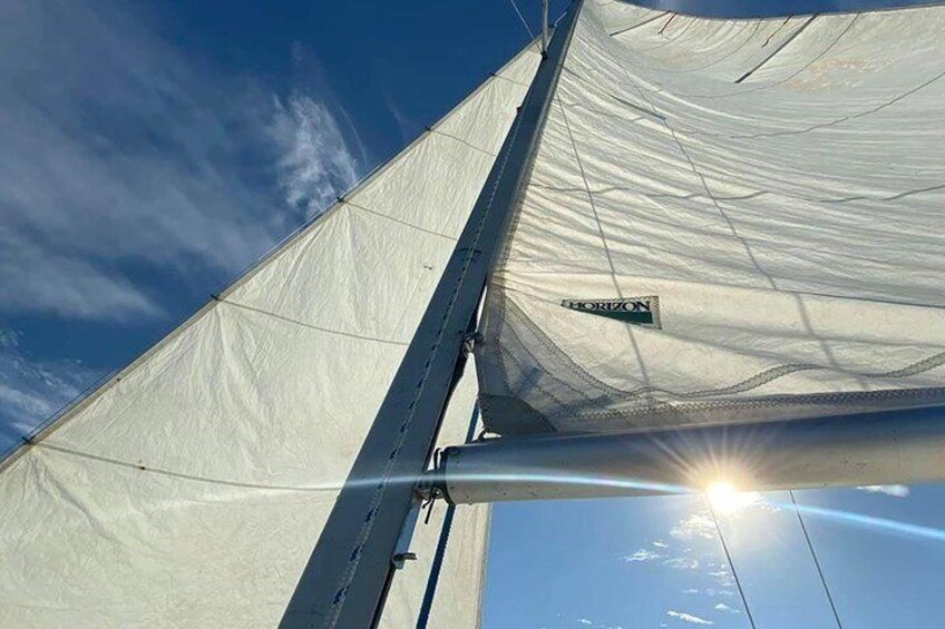 Day Sailing on Lake Fairview