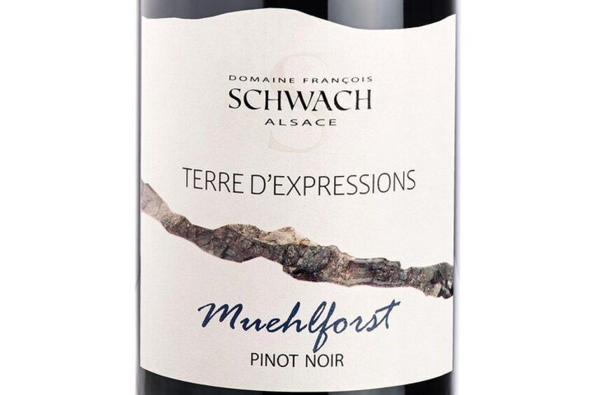 Spirit of TERROIR