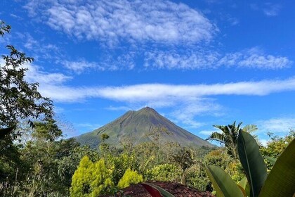 Tour with Baldi Hot Springs and Sarchi PRIVATE