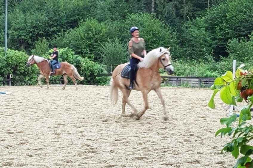 Equestrian adventure day for big and small horse lovers