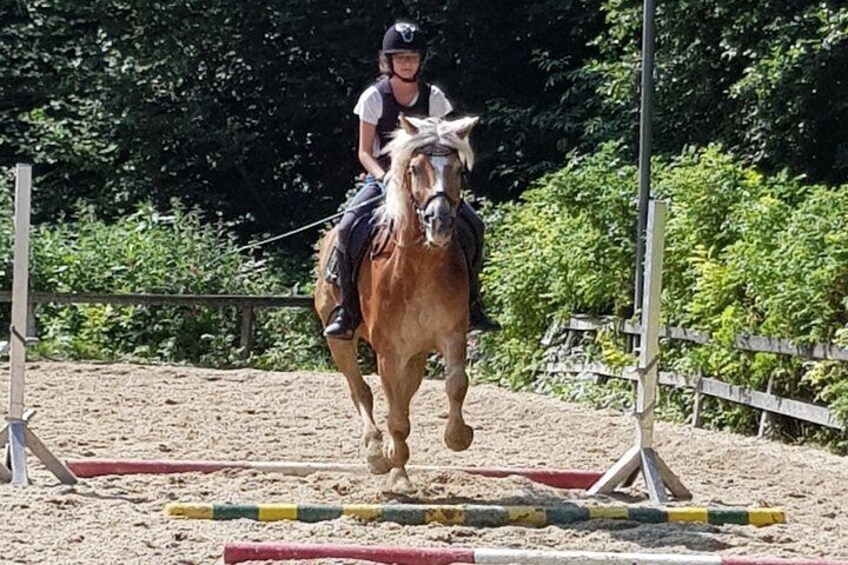 Equestrian adventure day for big and small horse lovers