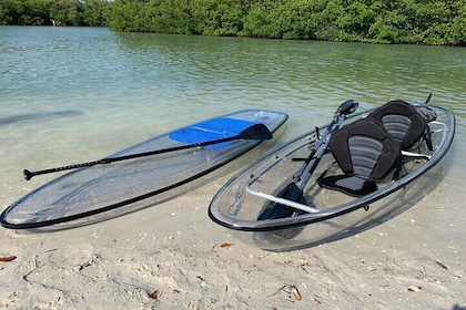 Island Mangrove Tour - Kayak, Paddleboard, CLEAR Kayak option - Bonita Spri...