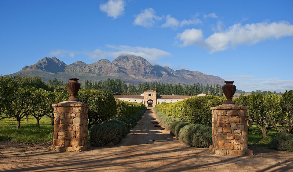 Show item 1 of 9. Cape Winelands Half-Day Tour