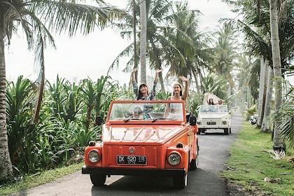 Bali Full-Day The Gate of Heaven Tour by VW Safari Classic Car