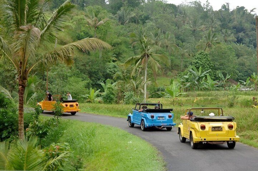 Bali Full-Day The Gate of Heaven Tour by VW Safari Classic Car7