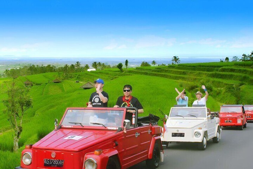 Bali Full-Day The Gate of Heaven Tour by VW Safari Classic Car8