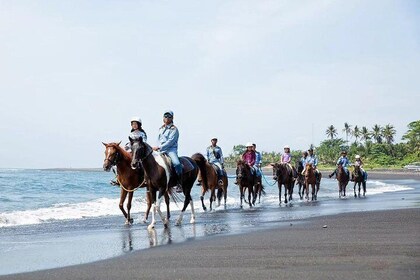 Bali Horse Riding and Uluwatu Sunset Tour with Kecak Dance