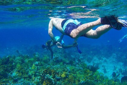 Glass Bottom Boat Ride/Snorkeling/Booby Cay Island from Negril