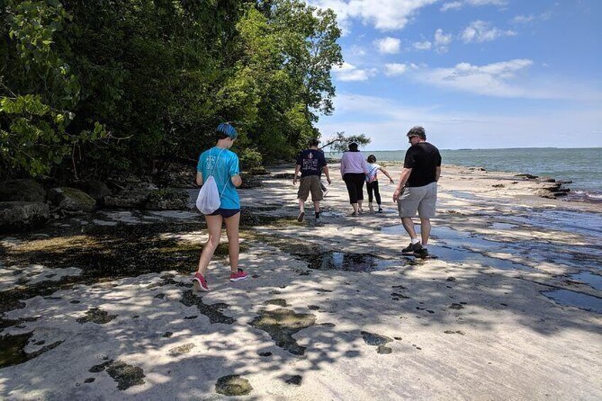 Show item 2 of 9. Hike and Bike Kelleys Island Trails