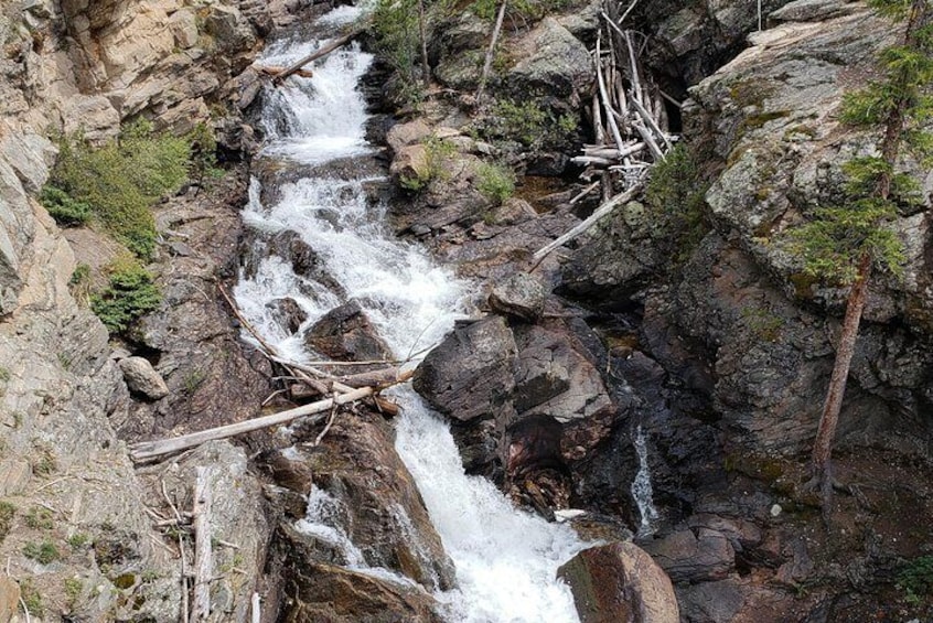 Private and Personalized Three Hour Morning Tour of Rocky Mountain National Park