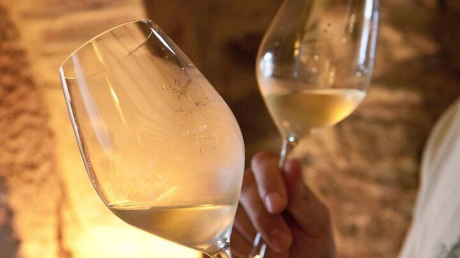 Great wines, good vibes