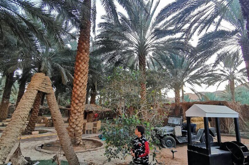 Jeddah City tour history sightseeing in center of the city then coastal tour