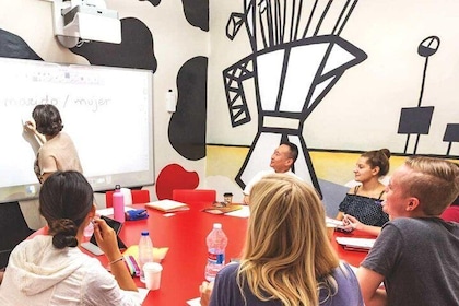 visit estadio mestalla 1 week intensive Spanish course + conversation workshop