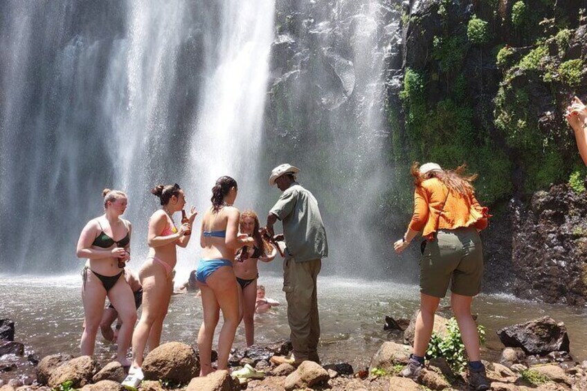 You can swim at Materuni Waterfalls