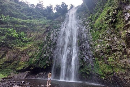 Materuni Waterfalls and Coffee Tour in Moshi