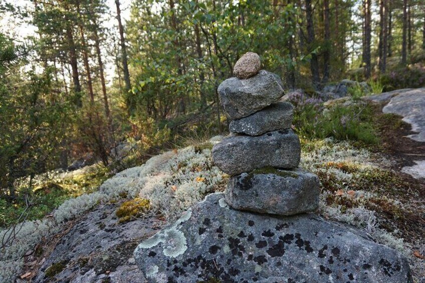 Hiking around forest and lake