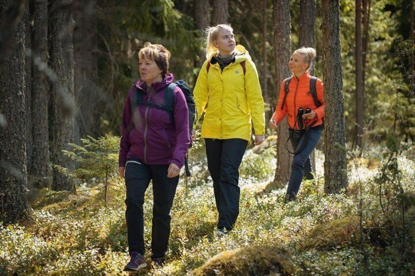 Hiking in the forest