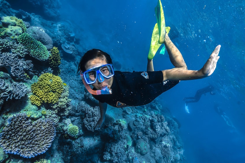 Half-Day Green Island, Great Barrier Reef Cruise