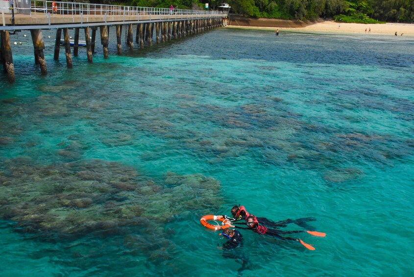 Half-Day Green Island, Great Barrier Reef Cruise
