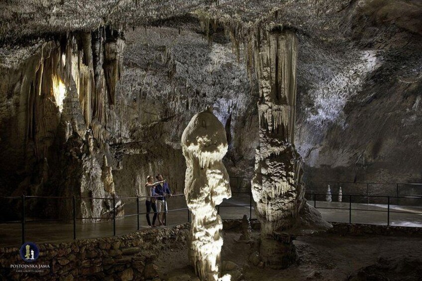 The Breathtaking Brilliant - symbol of Postojna cave. 