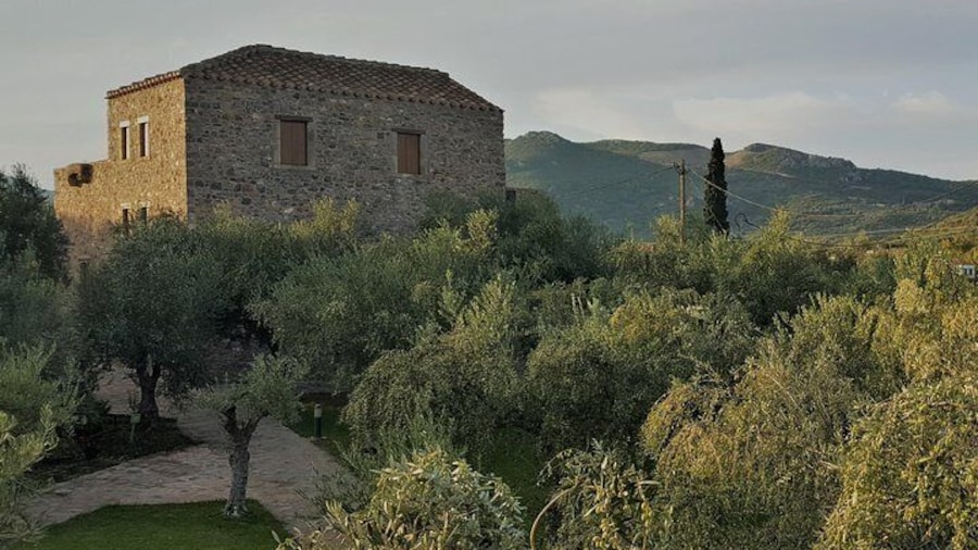 Private Tour in Historic Estate in Monemvasia with wine-olive oil tasting & meal