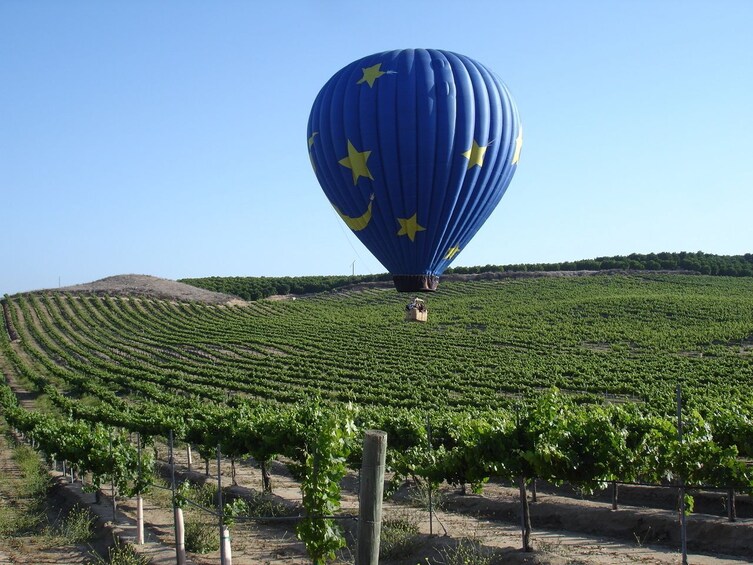 Sunrise Hot Air Balloon Ride in Temecula Wine Country