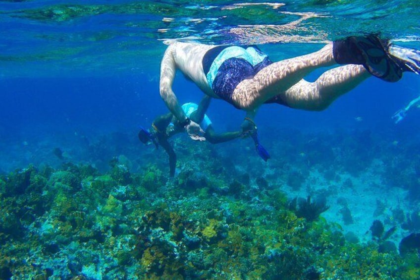 Glass Bottom Boat Ride/Snorkeling/Booby Cay Island from Grand Palladium Lucea