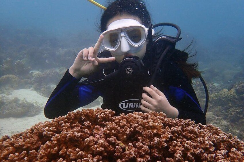 Let's take pictures while diving.