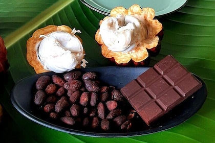 Discover Mauritian cocoa!