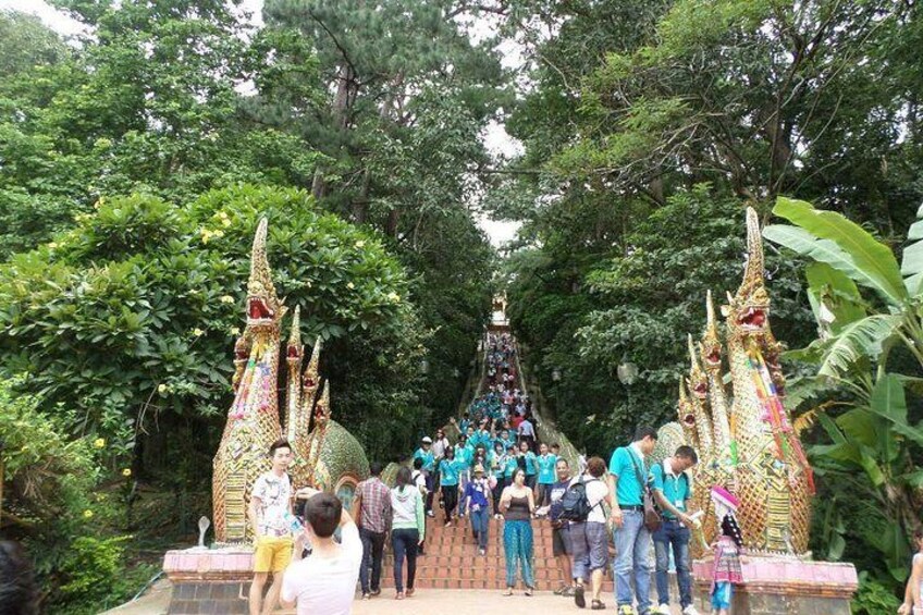 Half Day Umong Temple and Doi Suthep Temple (Private Tour)