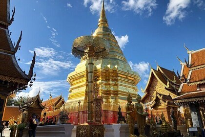 One day Doi Suthep Temple, Palad Temple & Sticky waterfall