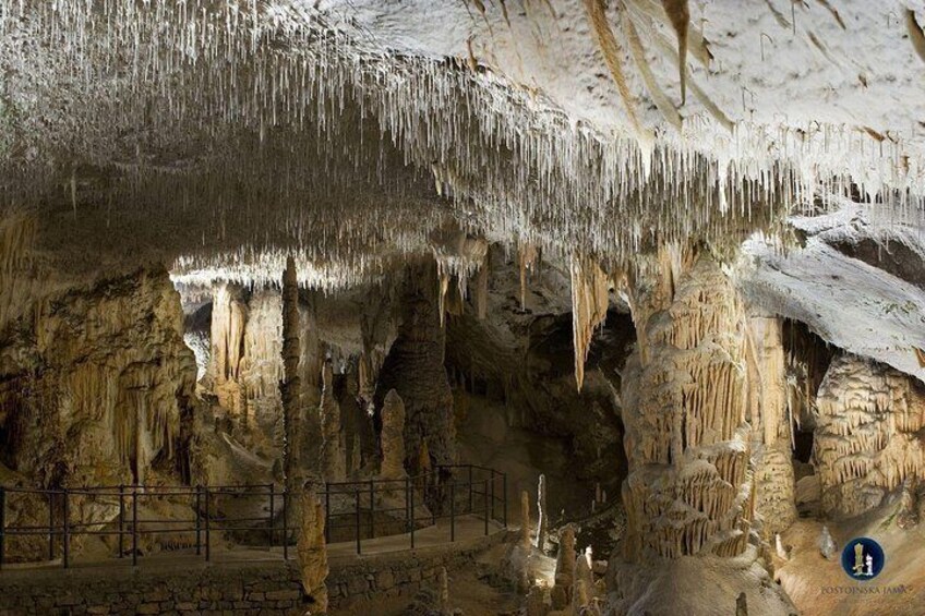 Spaghetti room in Postojna cave. 