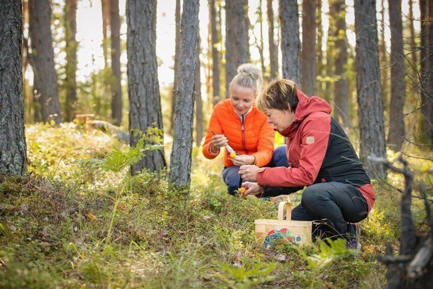 Picking mushrooms