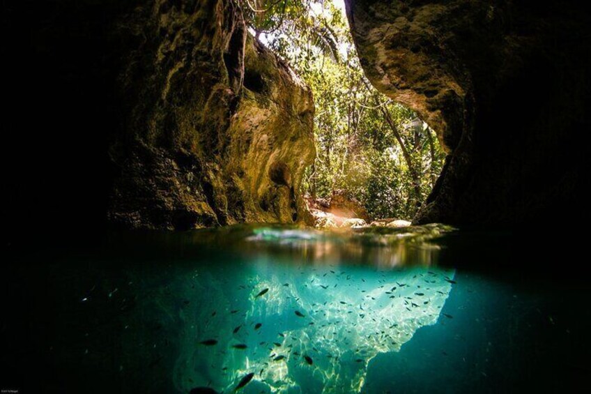 Full Day Tour to ATM Caves from Placencia with Hotel Pick up