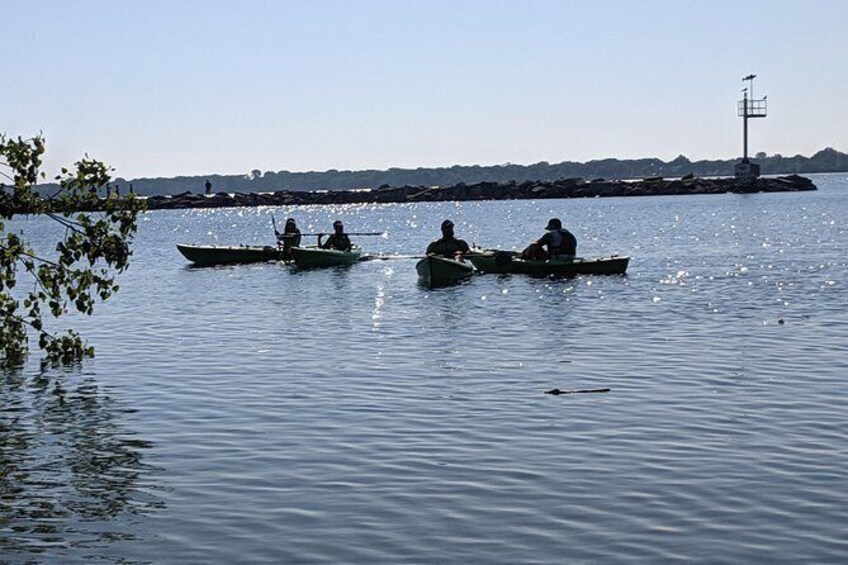 Show item 2 of 7. Kelleys Island Kayak Treasure Tour