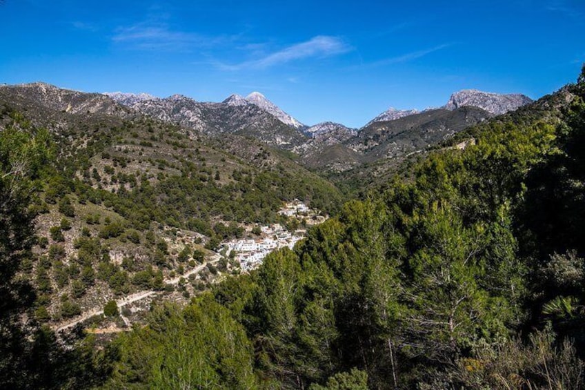 Totem Andalusia: Frigiliana & El Acebuchal