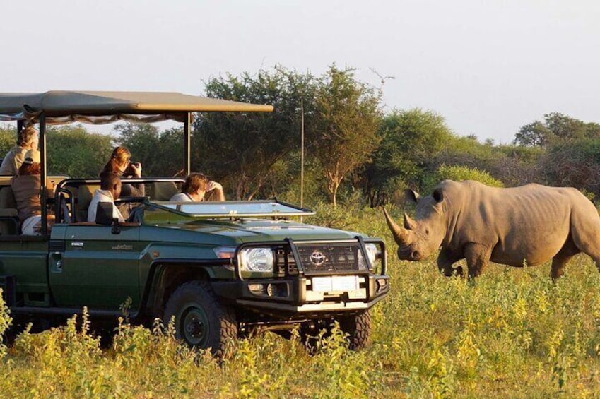 Hluhluwe Imfolozi Game Reserve Unlimited 2 Day Game Drive Safari from Durban