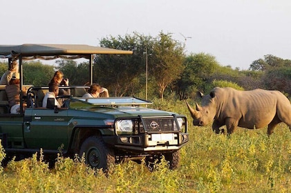 Hluhluwe Imfolozi Game Reserve Unlimited 2 Day Game Drive Safari from Durba...