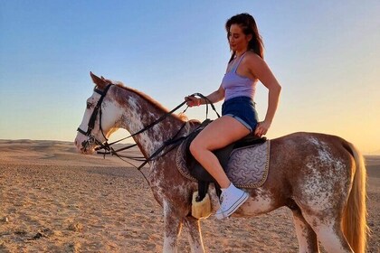 Horse or Camel Riding Two hours At Amazing Desert With Transfer-Sharm El Sh...