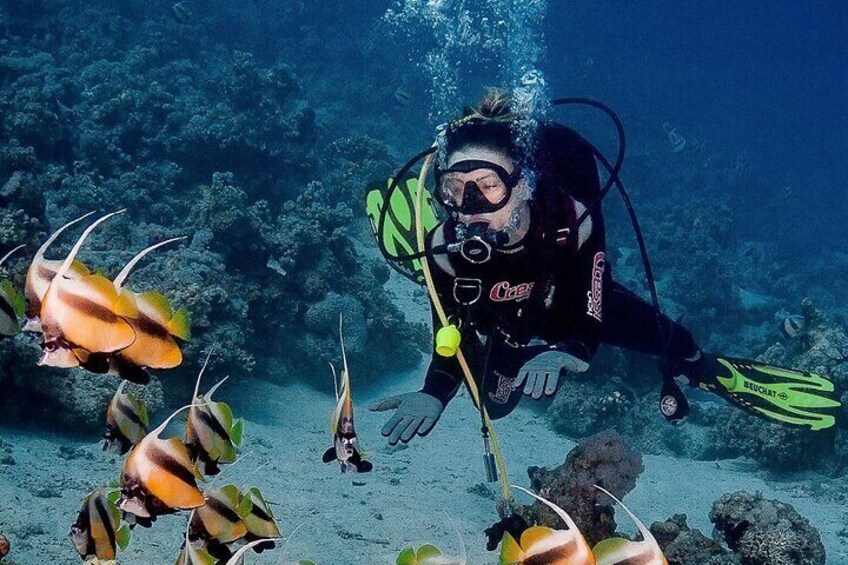 Scuba Diving Hurghada