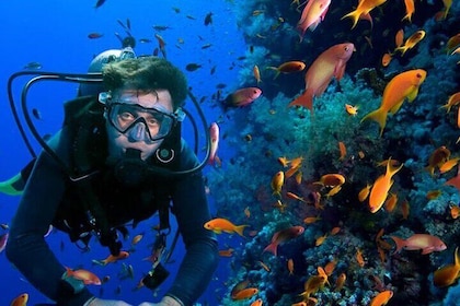 All in One intro Diving & Snorkeling & Massage & Seafood & Water Sport -Hur...