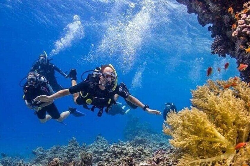 All in One intro Diving & Snorkeling & Massage & Seafood & Water Sport -Hurghada