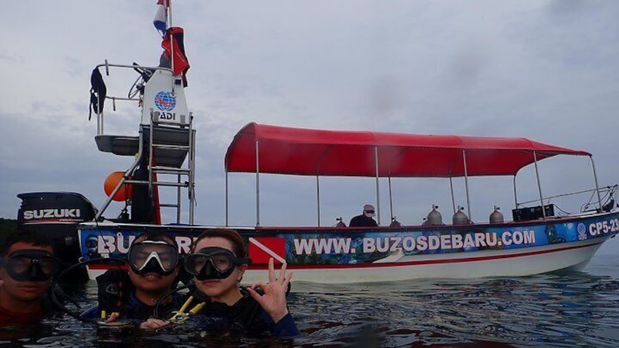 One-Day Diving Mini Course - Discover Scuba Diving