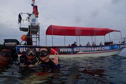 One-Day Diving Mini Course - Discover Scuba Diving